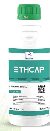 RAMCO Ethcap